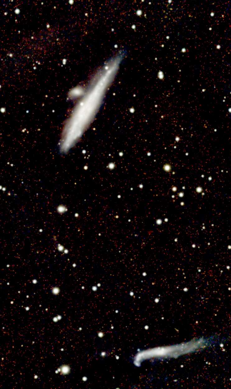 NGC 4631.jpg